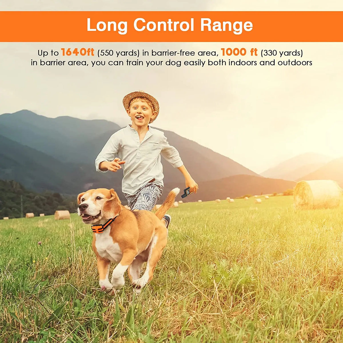 Dog Training Collar with 5-Level Adjustable Remote Control