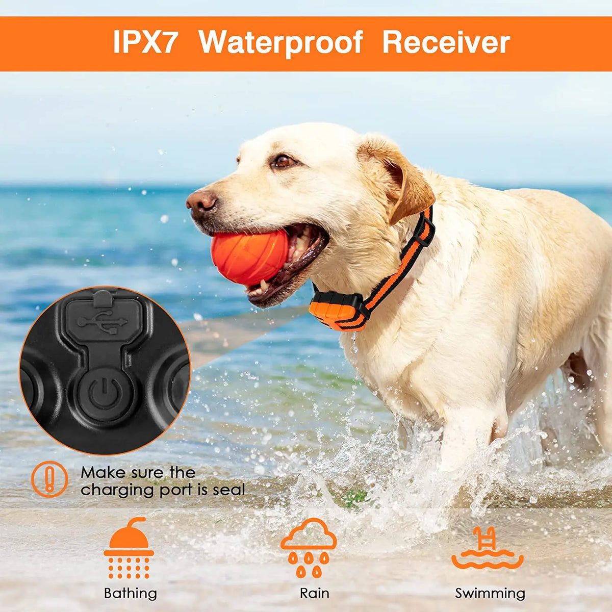 Dog Training Collar with 5-Level Adjustable Remote Control