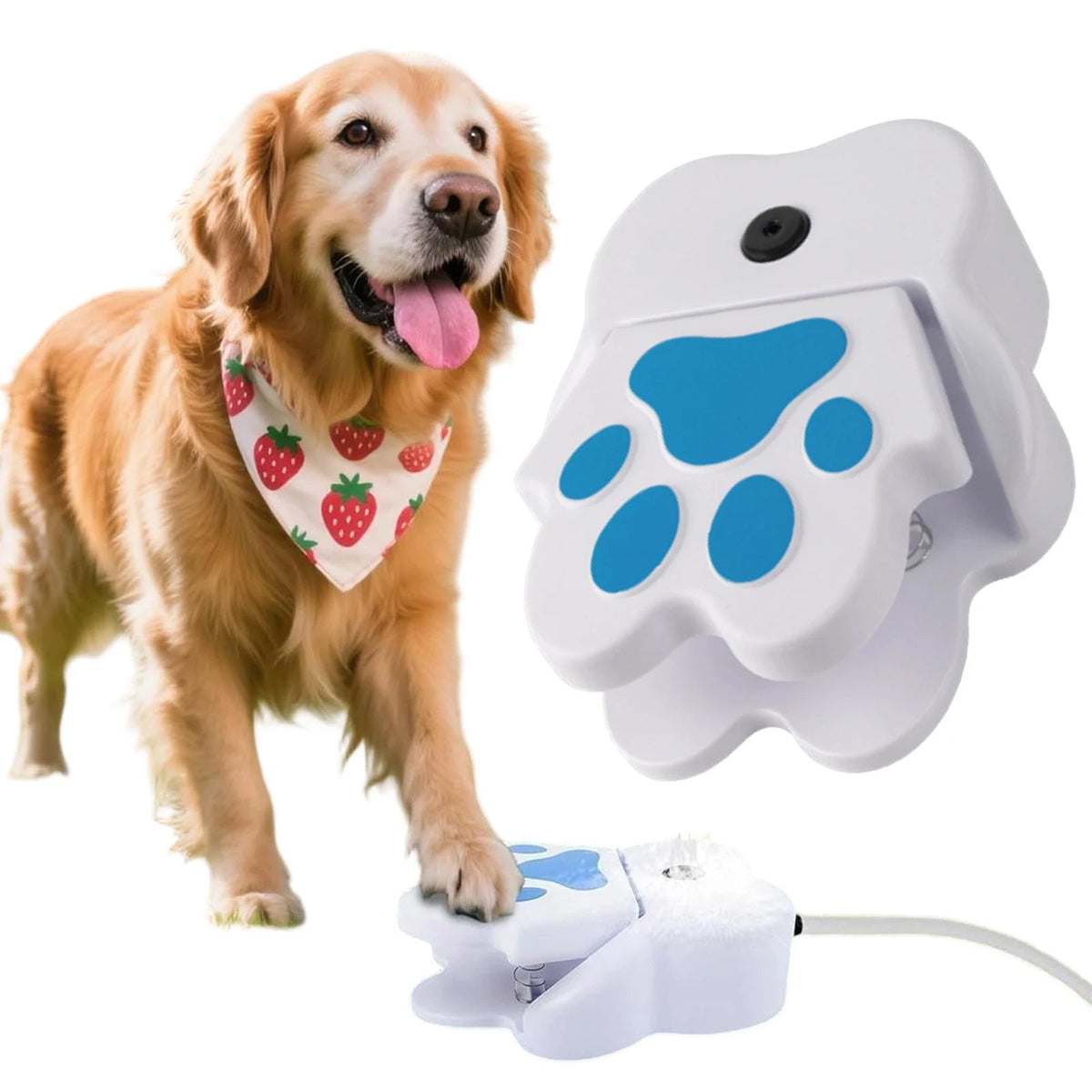 Dog Water Fountain with Paw Print Pedal