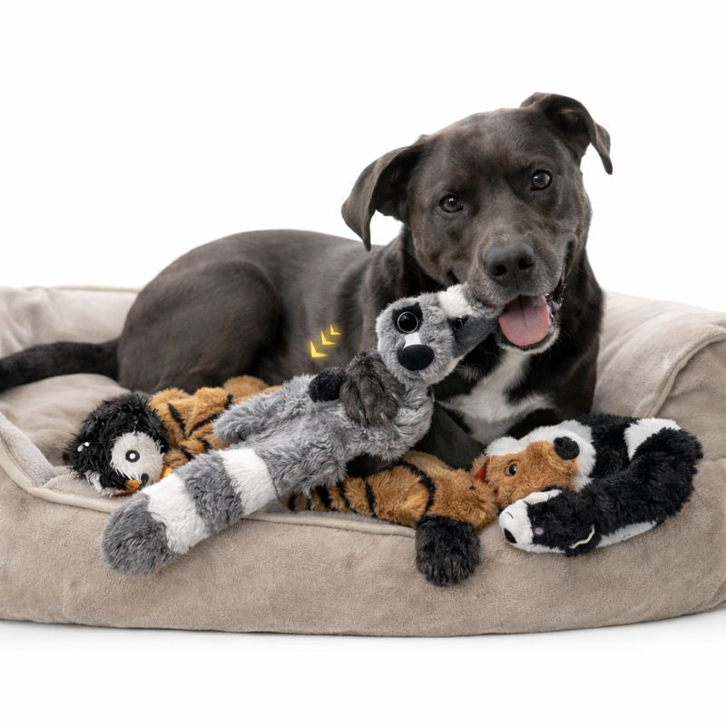 Durable Fleece Plush Dog Toy — Squeaker And Crinkle Detail