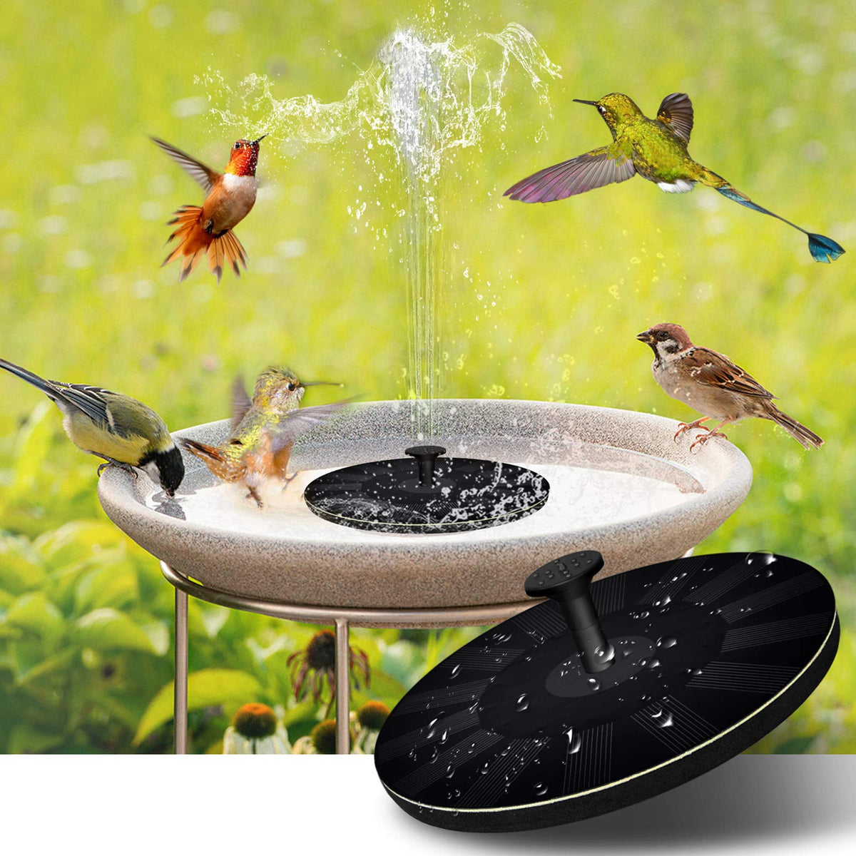 Eco-Friendly Solar Bird Bath Fountain for Garden Relaxation and Harmony