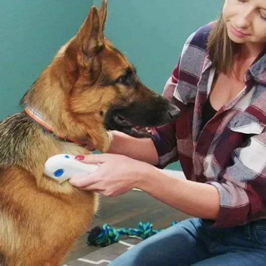 Electric Pet Flea Remover