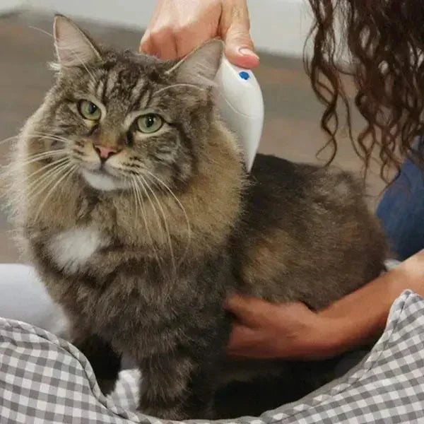 Electric Pet Flea Remover