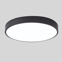 Elegant Scandinavian Style LED Ceiling Light