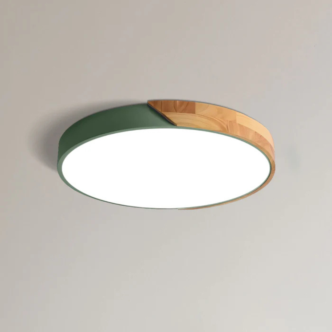 Elegant Scandinavian Style LED Ceiling Light