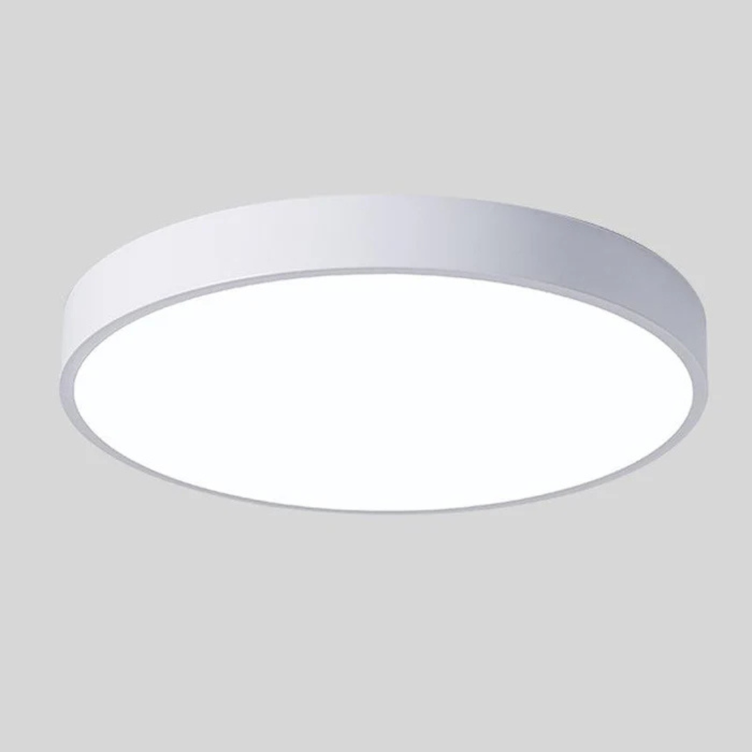 Elegant Scandinavian Style LED Ceiling Light