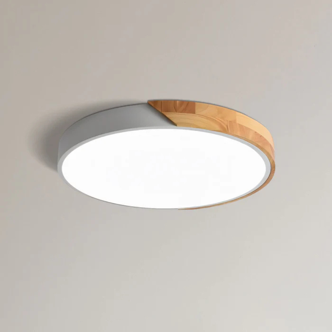 Elegant Scandinavian Style LED Ceiling Light
