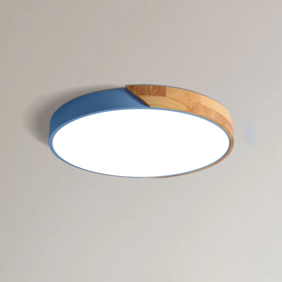 Elegant Scandinavian Style LED Ceiling Light