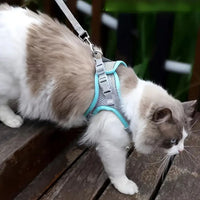 Escape-Proof Cat Harness | Explorer Harness
