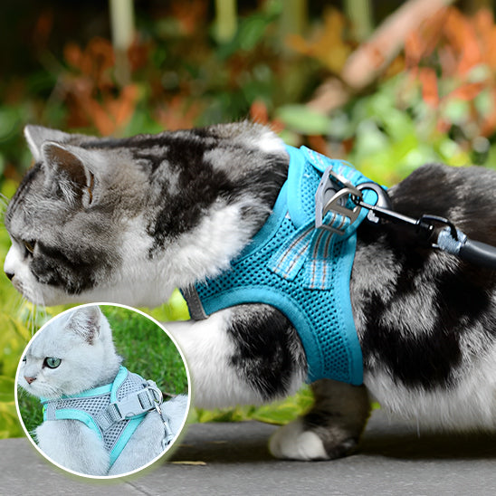 Escape-Proof Cat Harness | Explorer Harness
