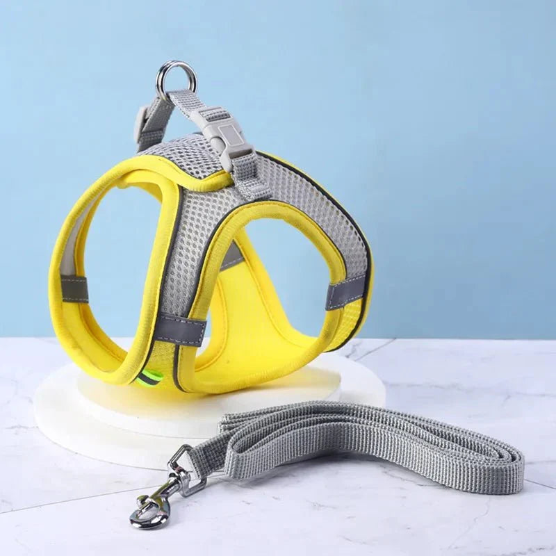 Escape-Proof Cat Harness | Explorer Harness