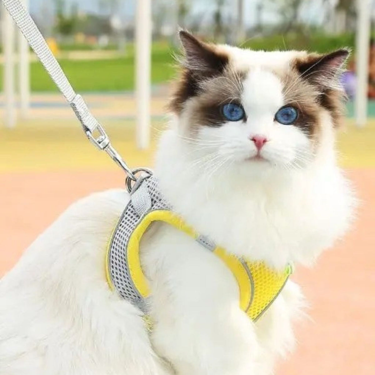 Escape-Proof Cat Harness | Explorer Harness