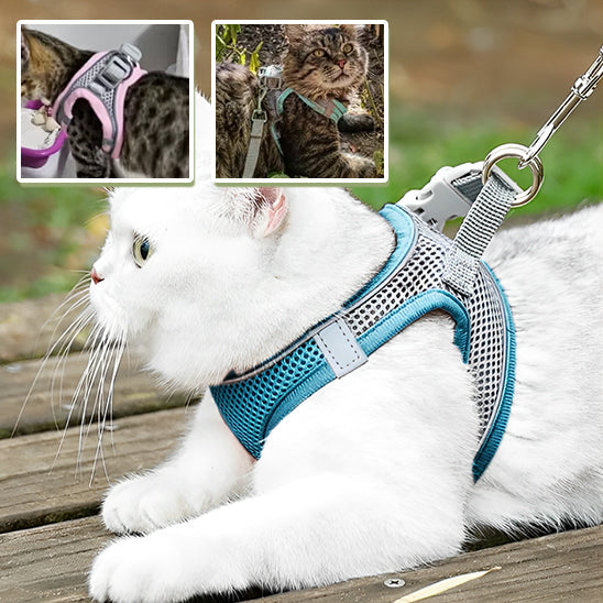 Escape-Proof Cat Harness | Explorer Harness