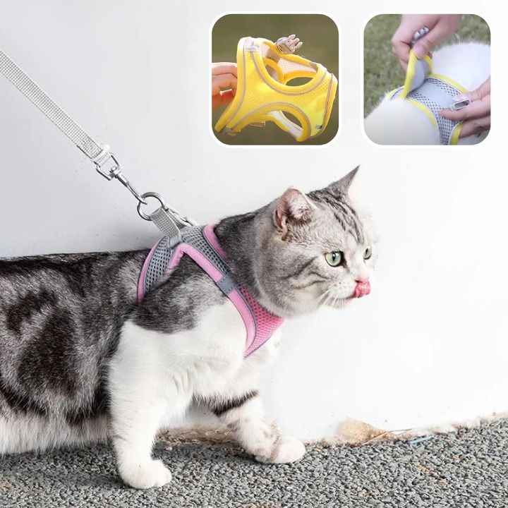 Escape-Proof Cat Harness | Explorer Harness