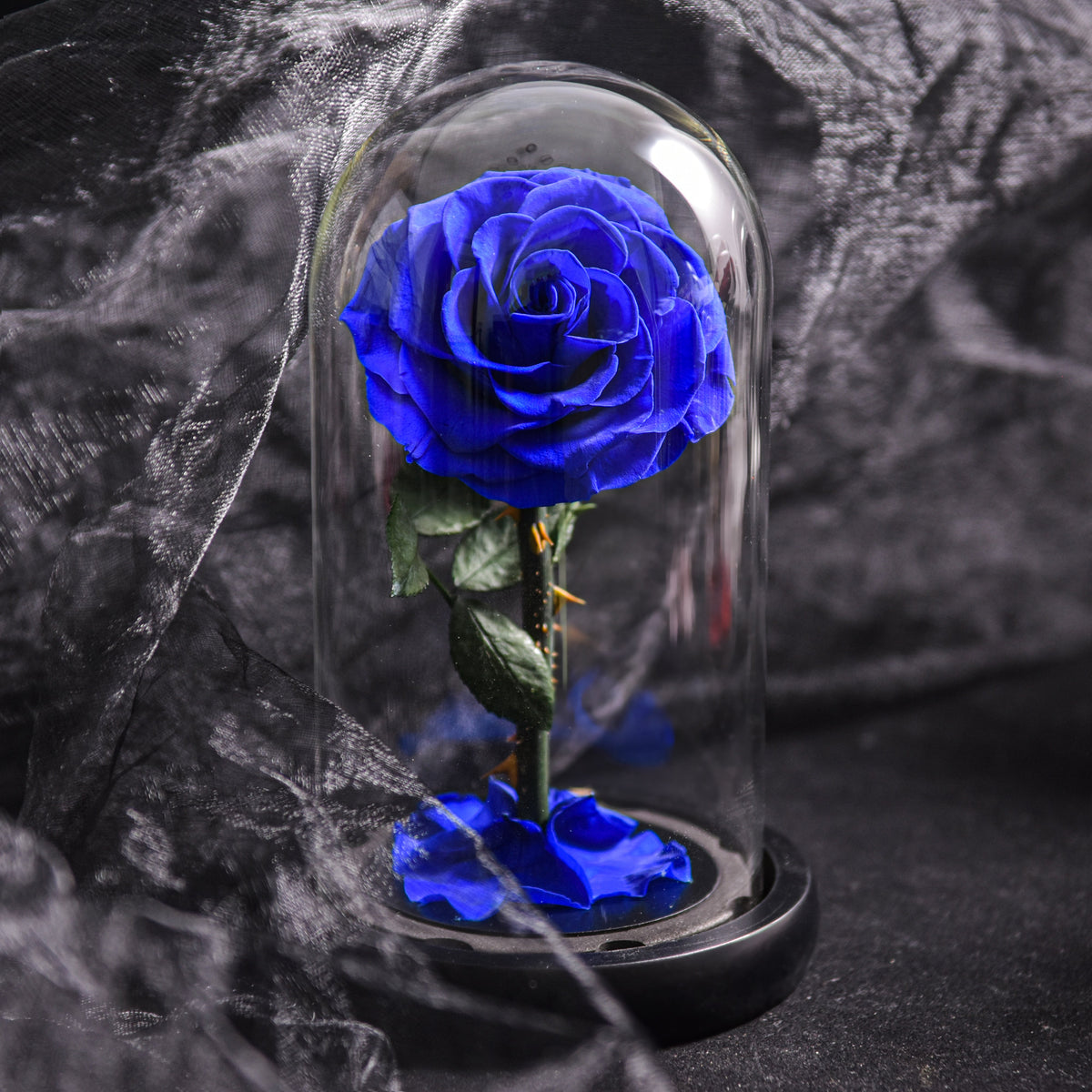 Eternal Rose in Glass Dome