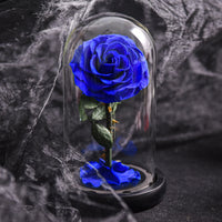Eternal Rose in Glass Dome
