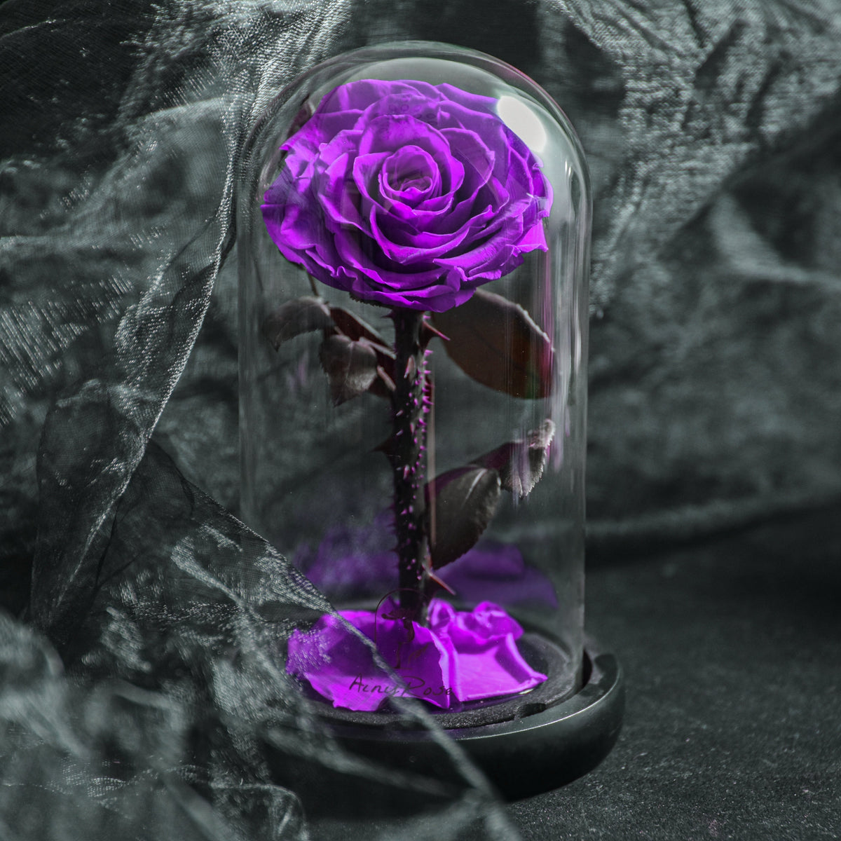 Eternal Rose in Glass Dome
