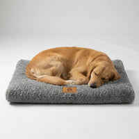 Flat Orthopedic Foam Dog Mattress