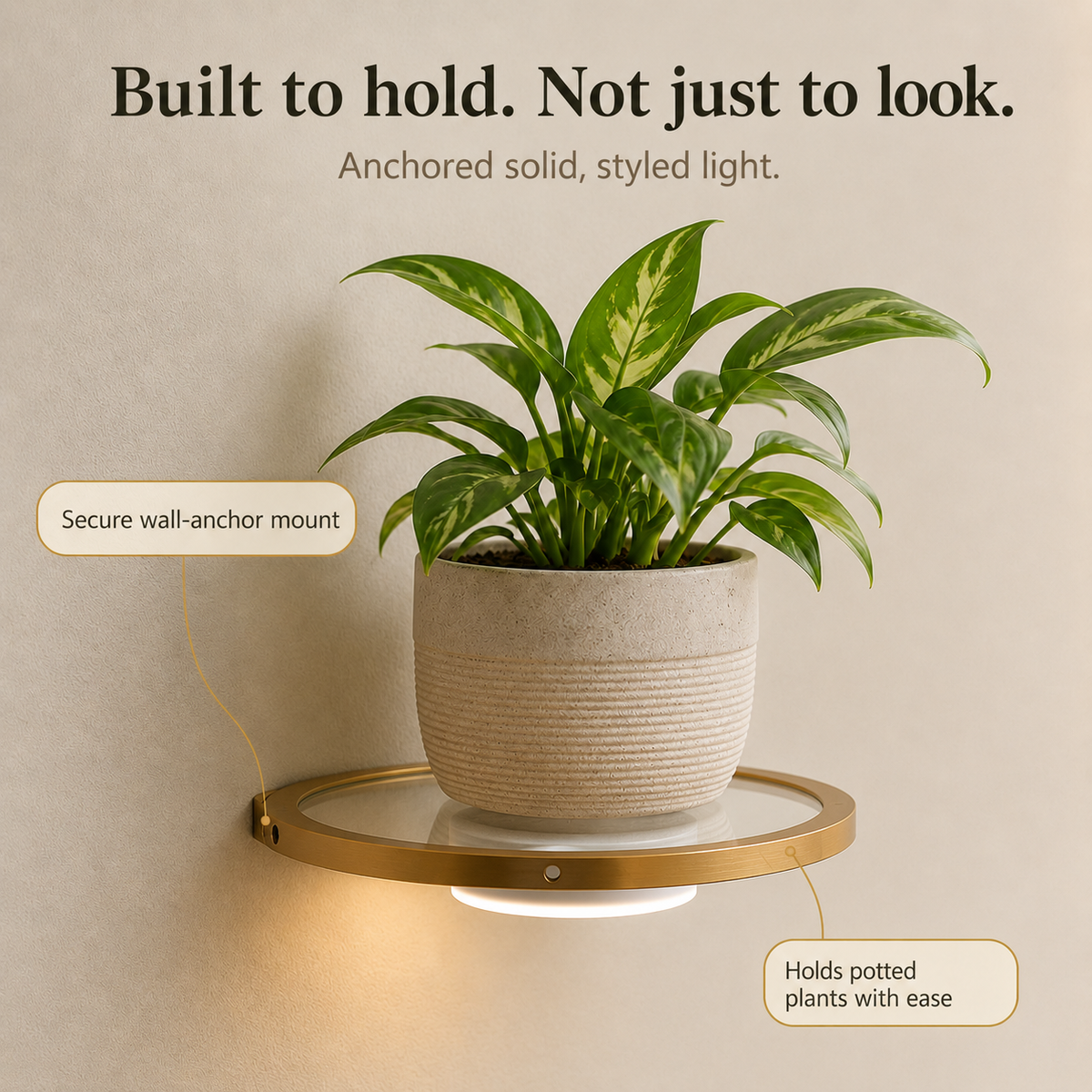 Floating LED Wall Shelf with Gold Finish and Rechargeable Ambient Light for Plants