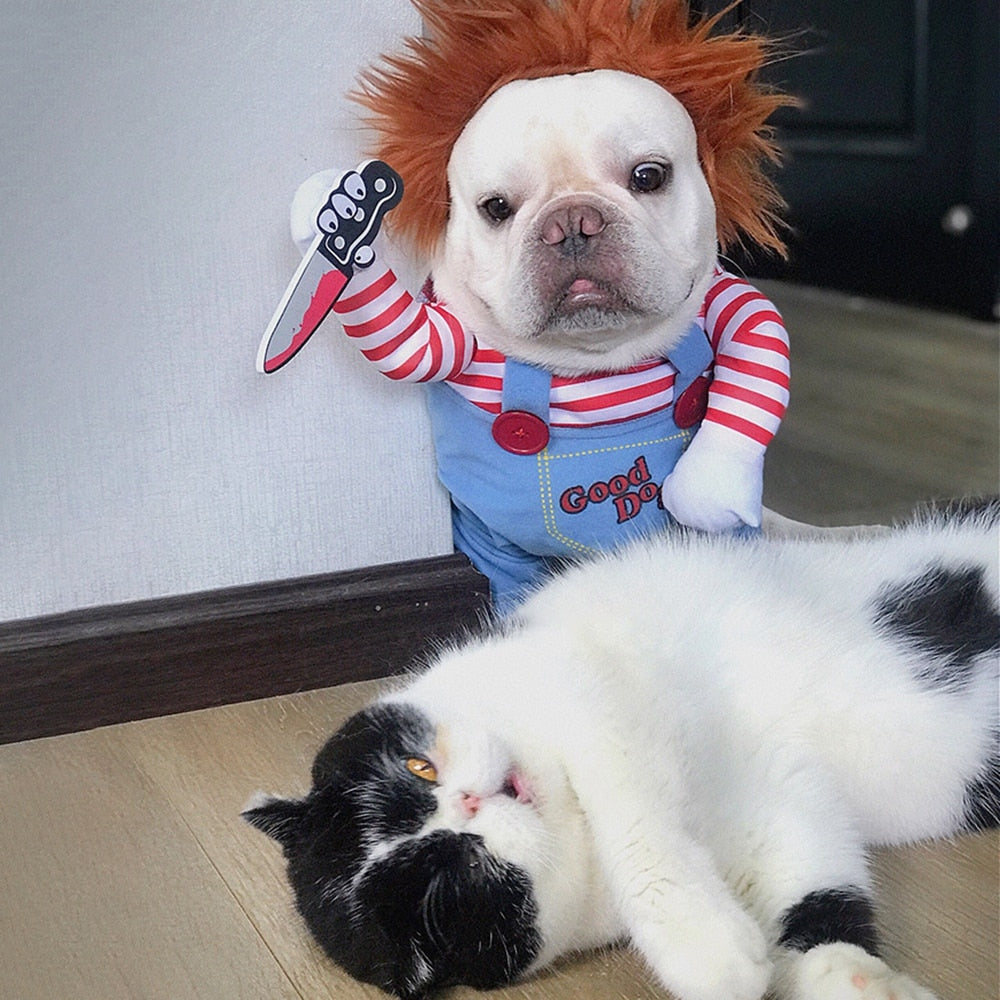 Funny and Scary Pet Halloween Costume