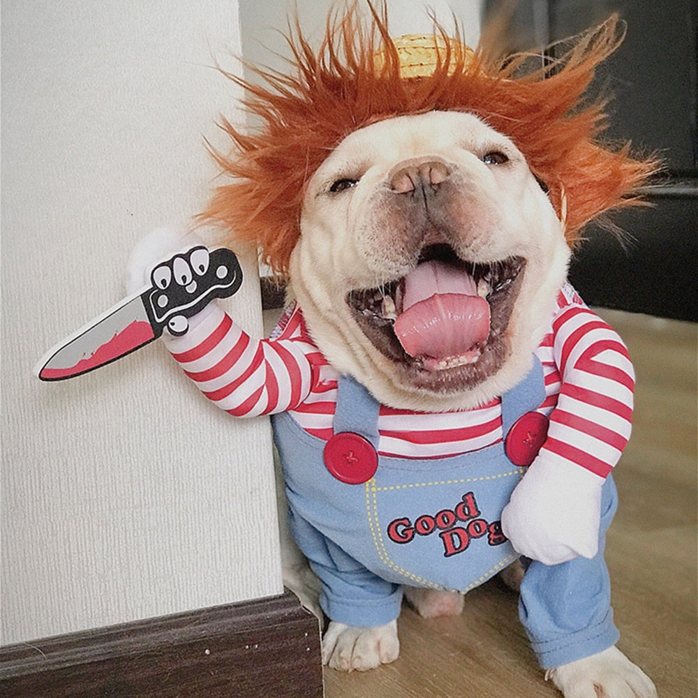 Funny and Scary Pet Halloween Costume