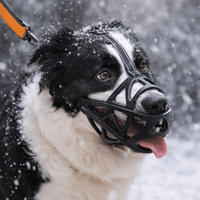 Gentle Dog Muzzle for Everyday Safety