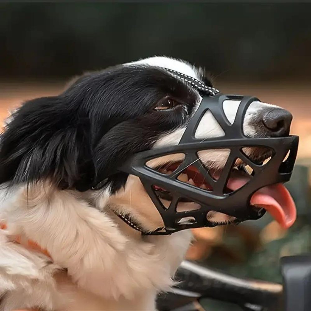 Gentle Dog Muzzle for Everyday Safety