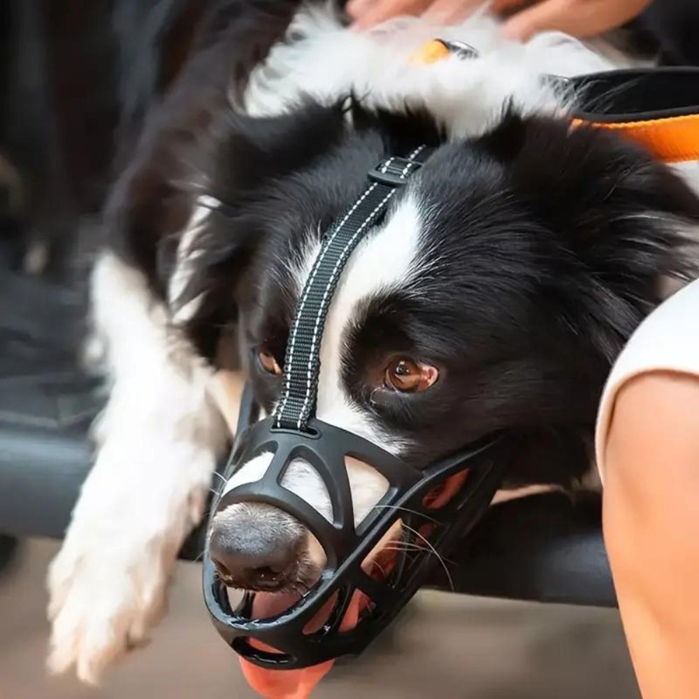 Gentle Dog Muzzle for Everyday Safety