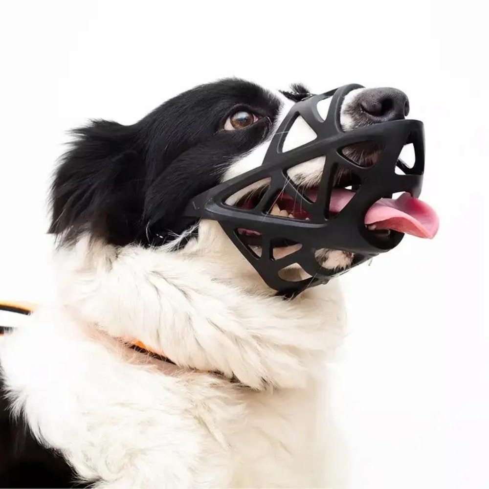 Gentle Dog Muzzle for Everyday Safety