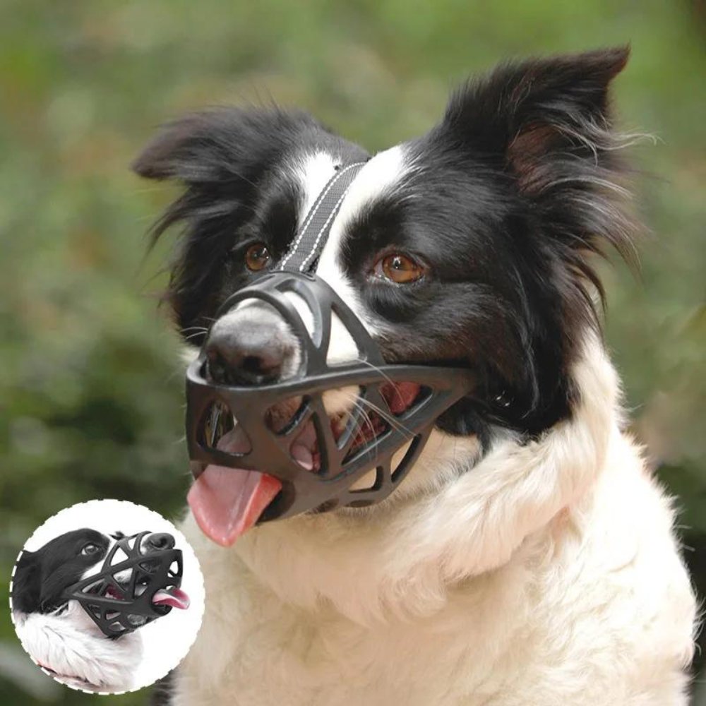 Gentle Dog Muzzle for Everyday Safety