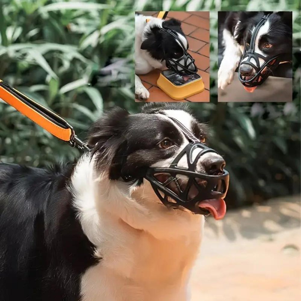 Gentle Dog Muzzle for Everyday Safety