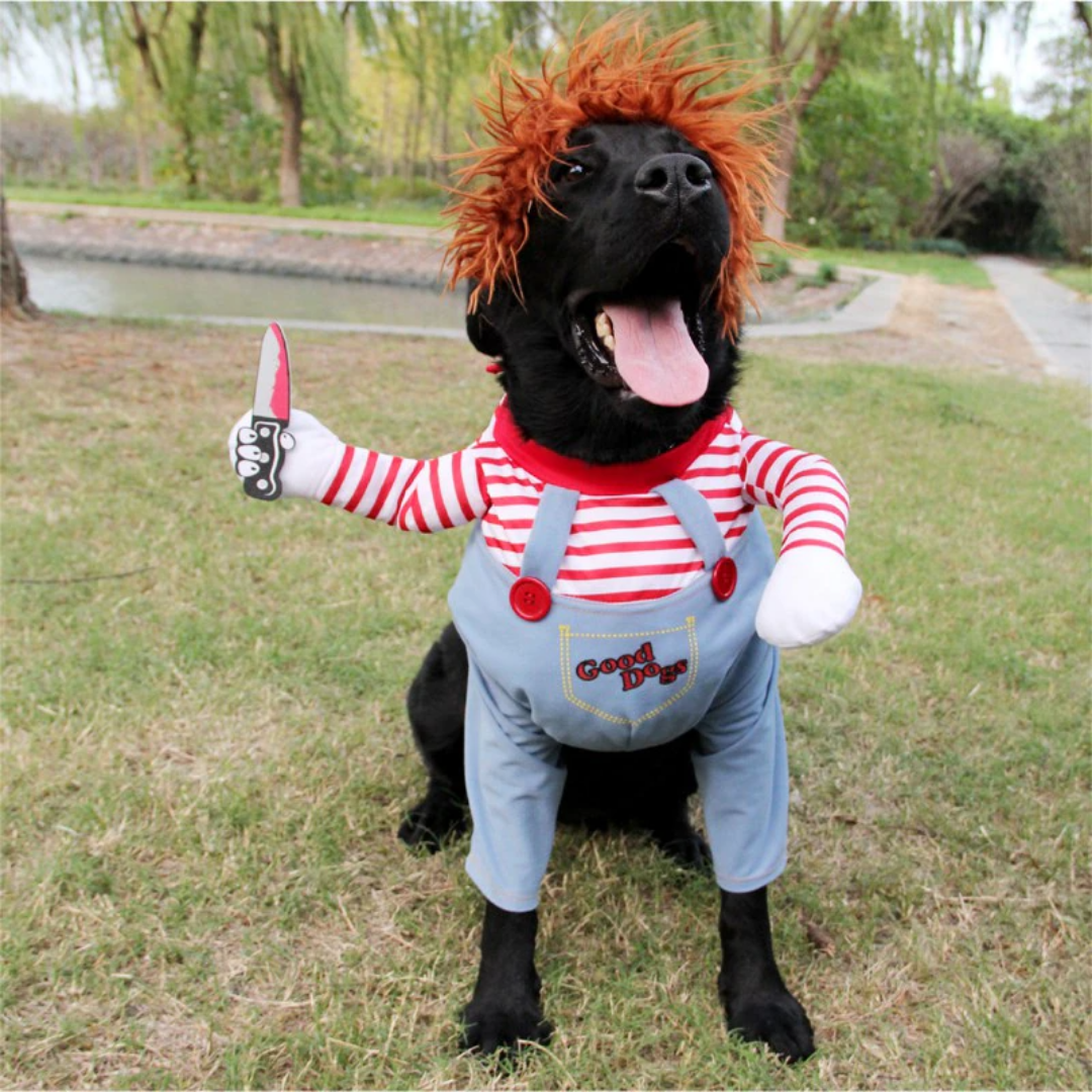 Halloween Costume for Dogs