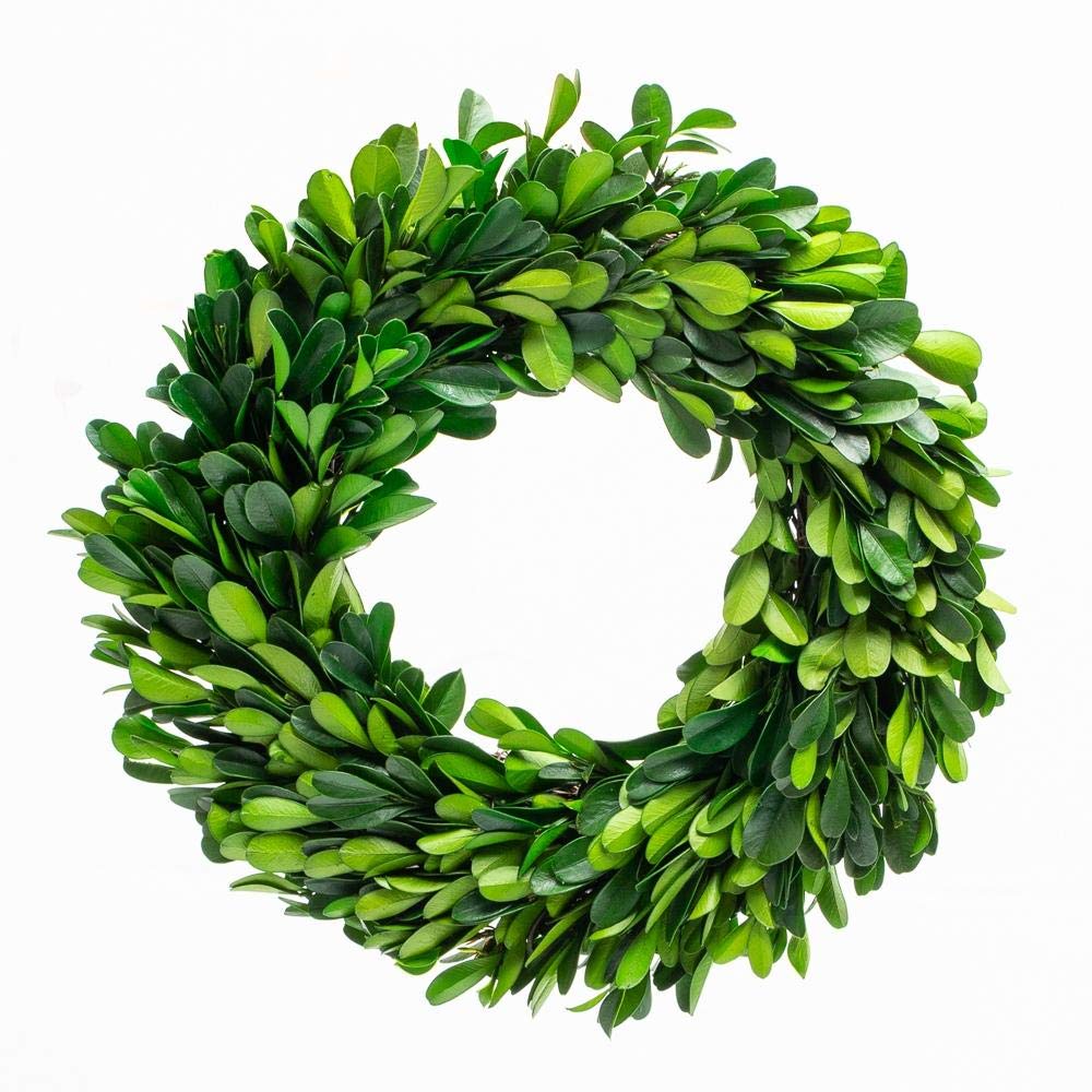 Hand-Tied Boxwood Wreaths for Timeless, Natural Home Decor
