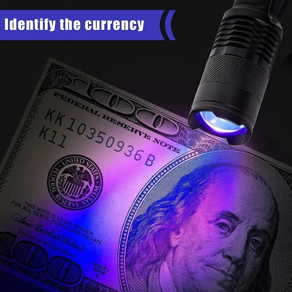 Handheld LED UV Light — 395nm Compact Stain Scanner