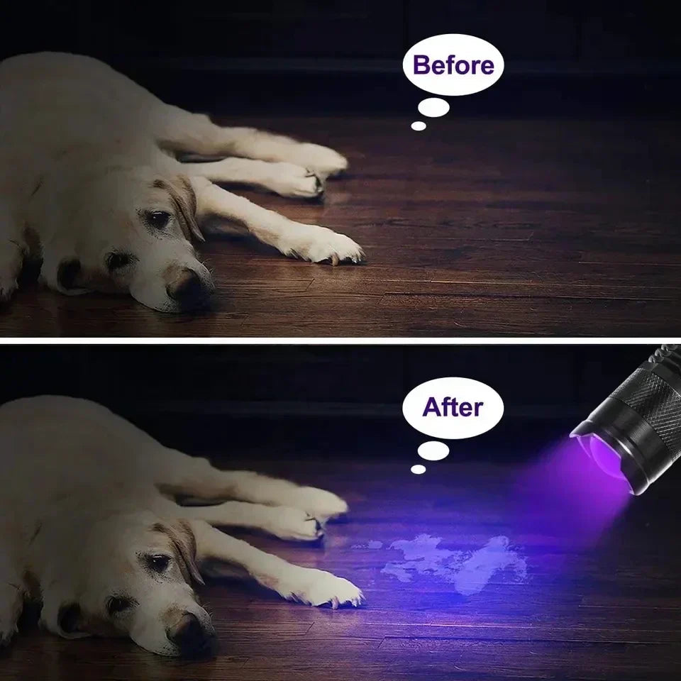 Handheld LED UV Light — 395nm Compact Stain Scanner
