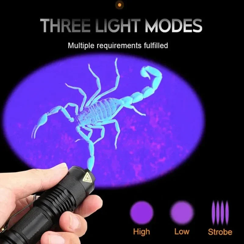 Handheld LED UV Light — 395nm Compact Stain Scanner