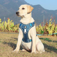 High-Quality No-Pull Dog Harness