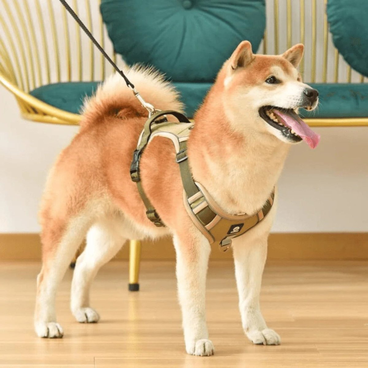 High-Quality No-Pull Dog Harness