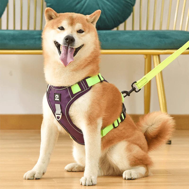 High-Quality No-Pull Dog Harness