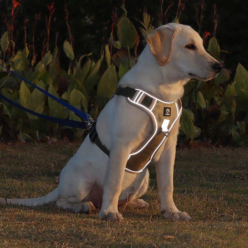 High-Quality No-Pull Dog Harness