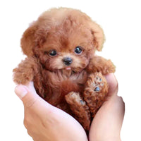 Hyperrealistic Plush Toy with Interactive Features