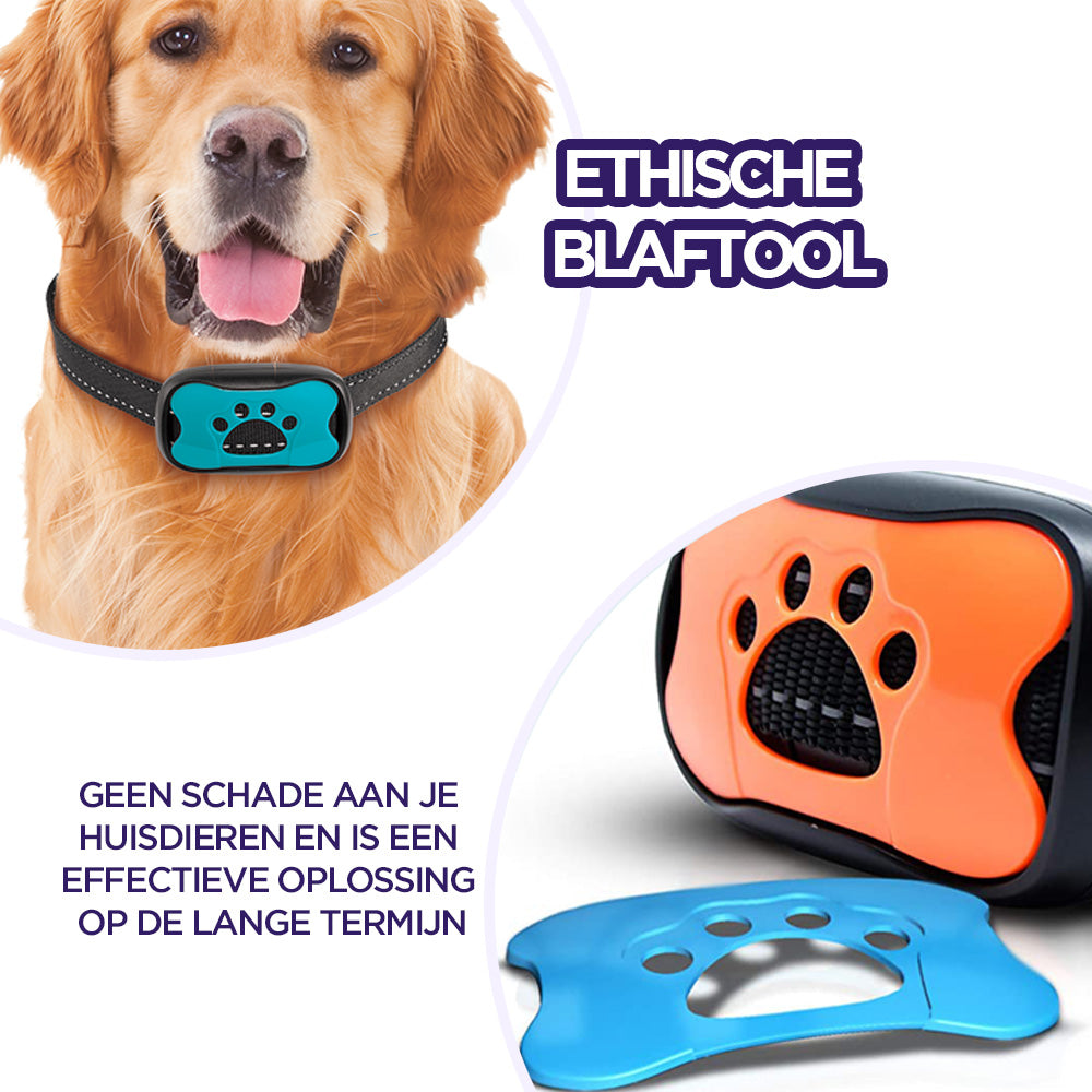 Innovative Anti-Bark Collar