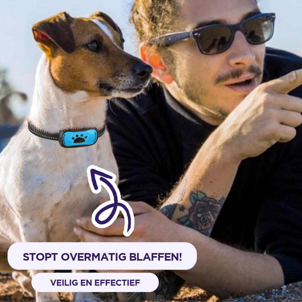 Innovative Anti-Bark Collar