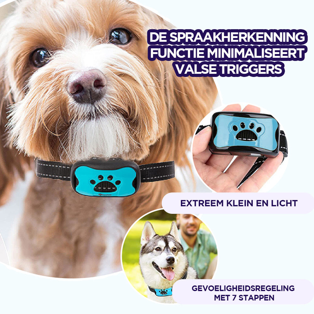 Innovative Anti-Bark Collar