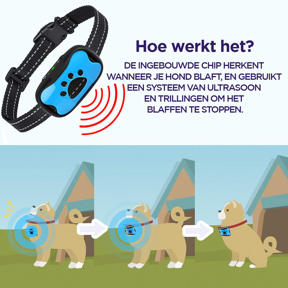 Innovative Anti-Bark Collar