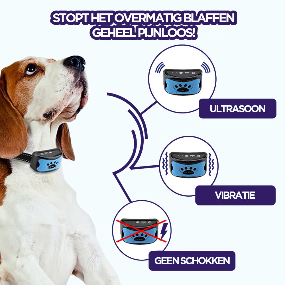 Innovative Anti-Bark Collar