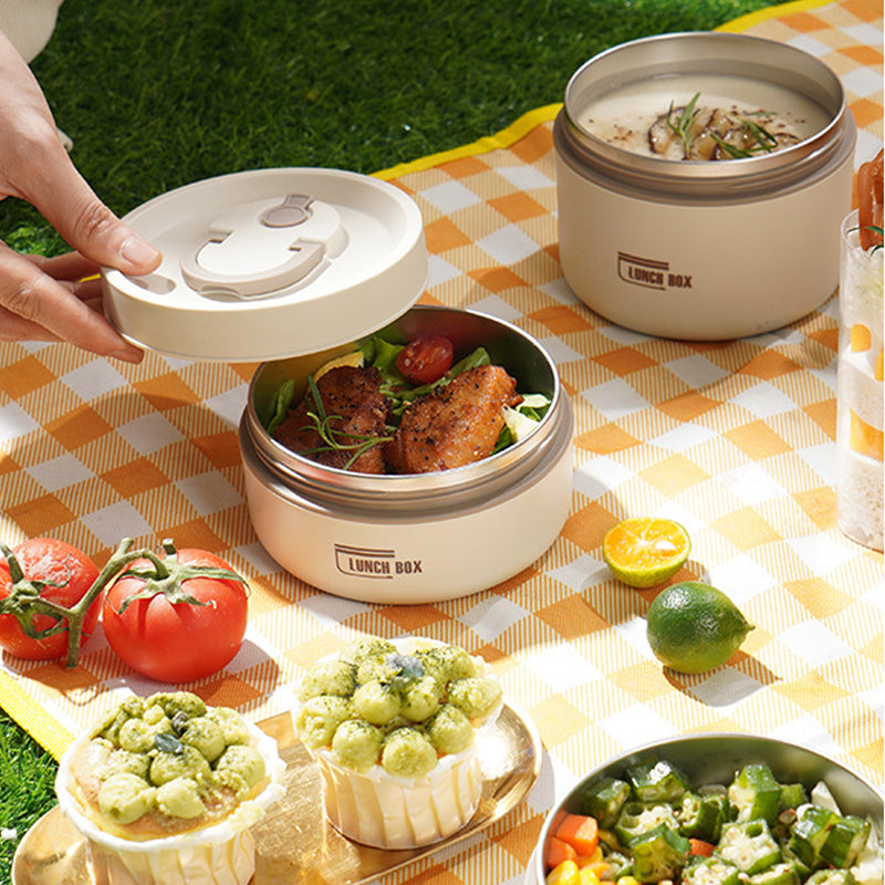 Insulated Stainless Steel Lunchbox with Carrying Bag and Thermal Interior – 620 ml & 420 ml – Multi-Compartment, Leakproof, Hot & Cold Food Container for Work and School