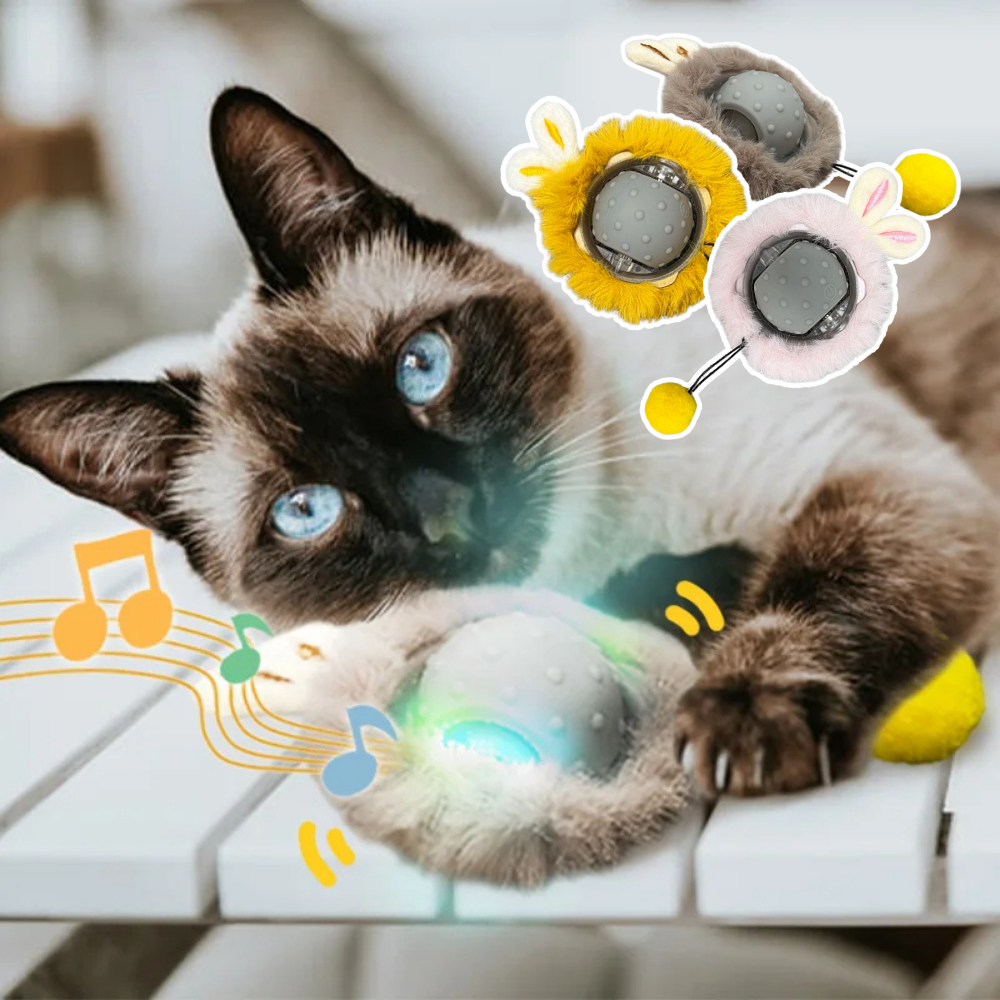 Interactive Cat Toy