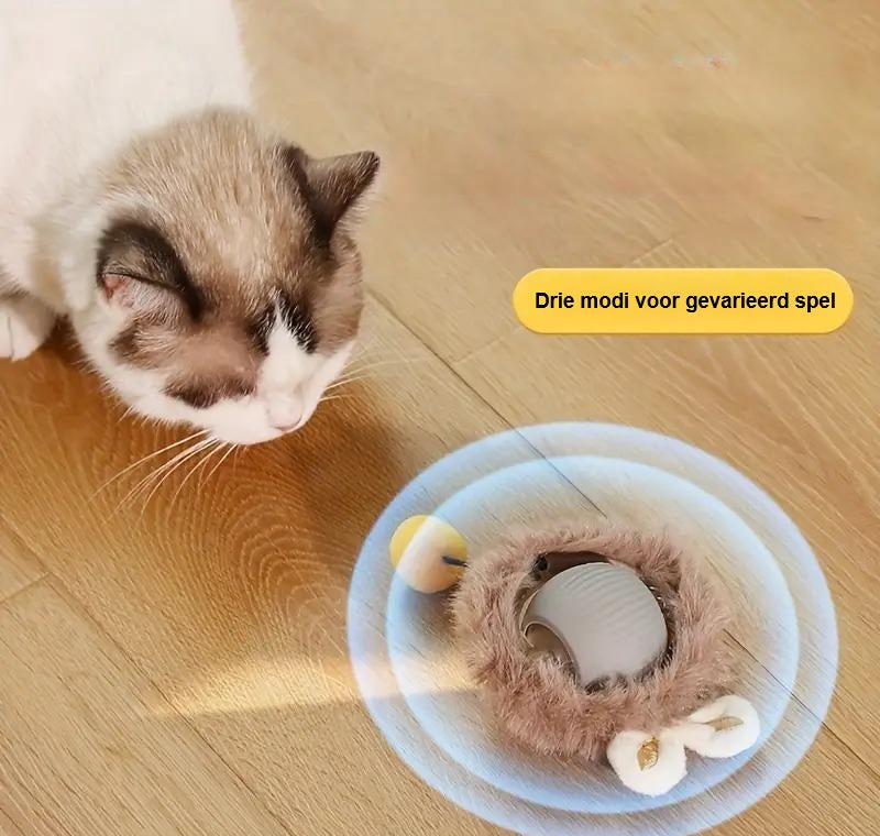Interactive Cat Toy