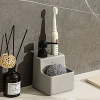 Kitchen Soap Dispenser with Brush and Sponge Holder